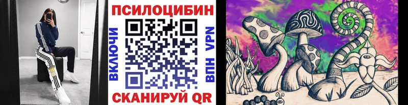 KRAKEN рабочий сайт  как найти наркотики  Ворсма  Галлюциногенные грибы мухоморы 